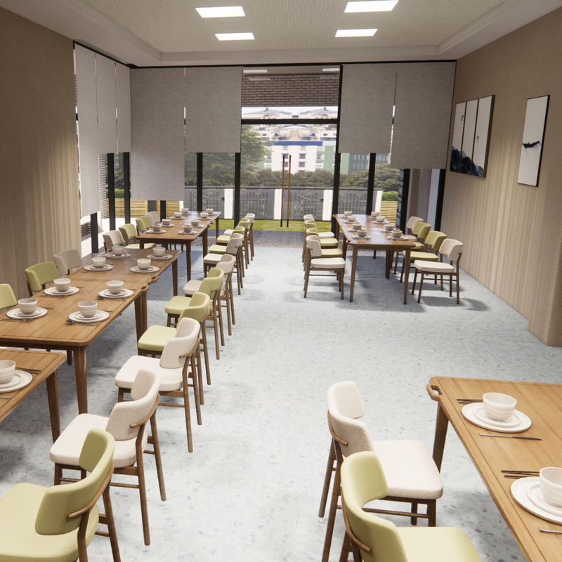 노인 가정에 대한 노인 친화적 인 위생적 균일 바닥 医疗合规类型