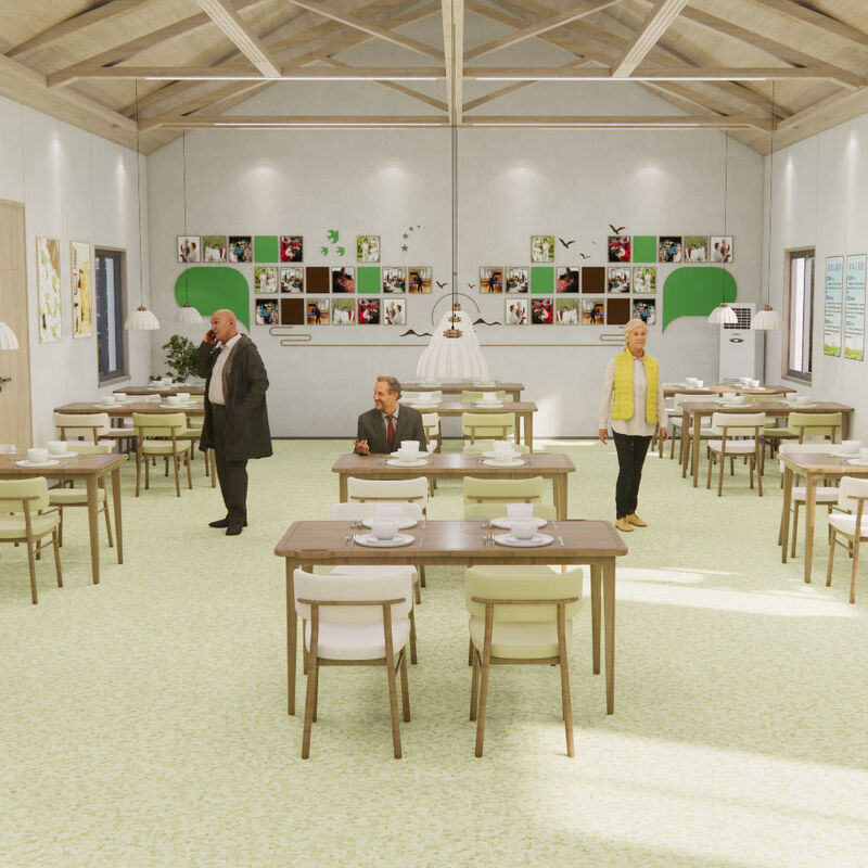 노인집 환자실의 반 스크래치 표면으로 충격을 견딜 수 있는 균일 바닥