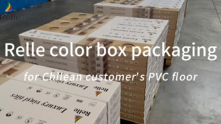 칠레 고객의 Pvc 바닥을 위한 Relle 색상 상자 포장